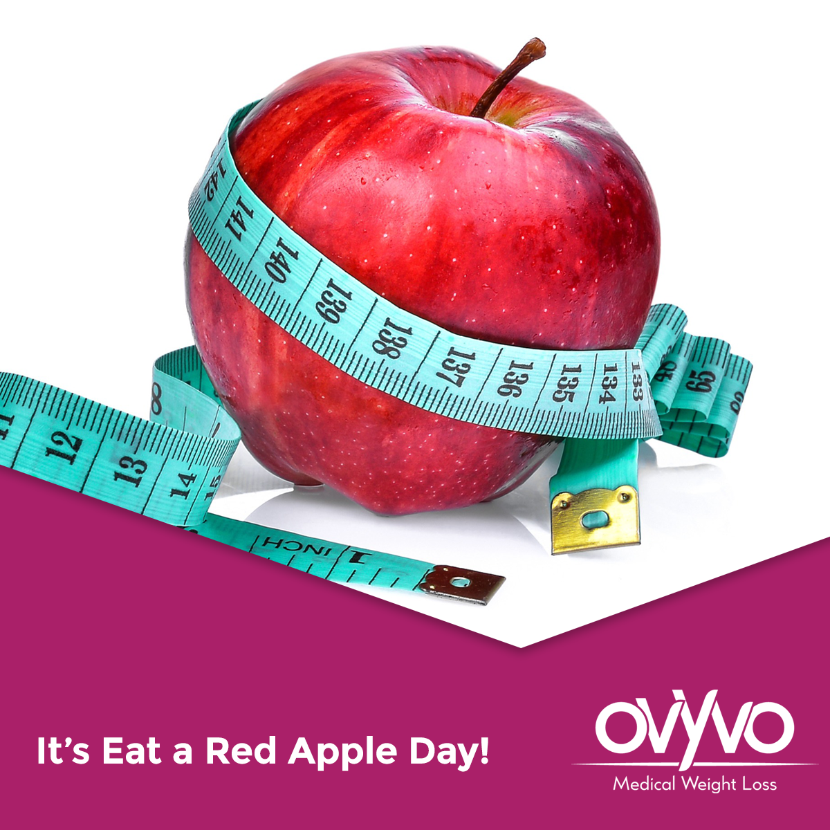 Eat a Red Apple Day - Weight Loss Benefits of Eating Apples