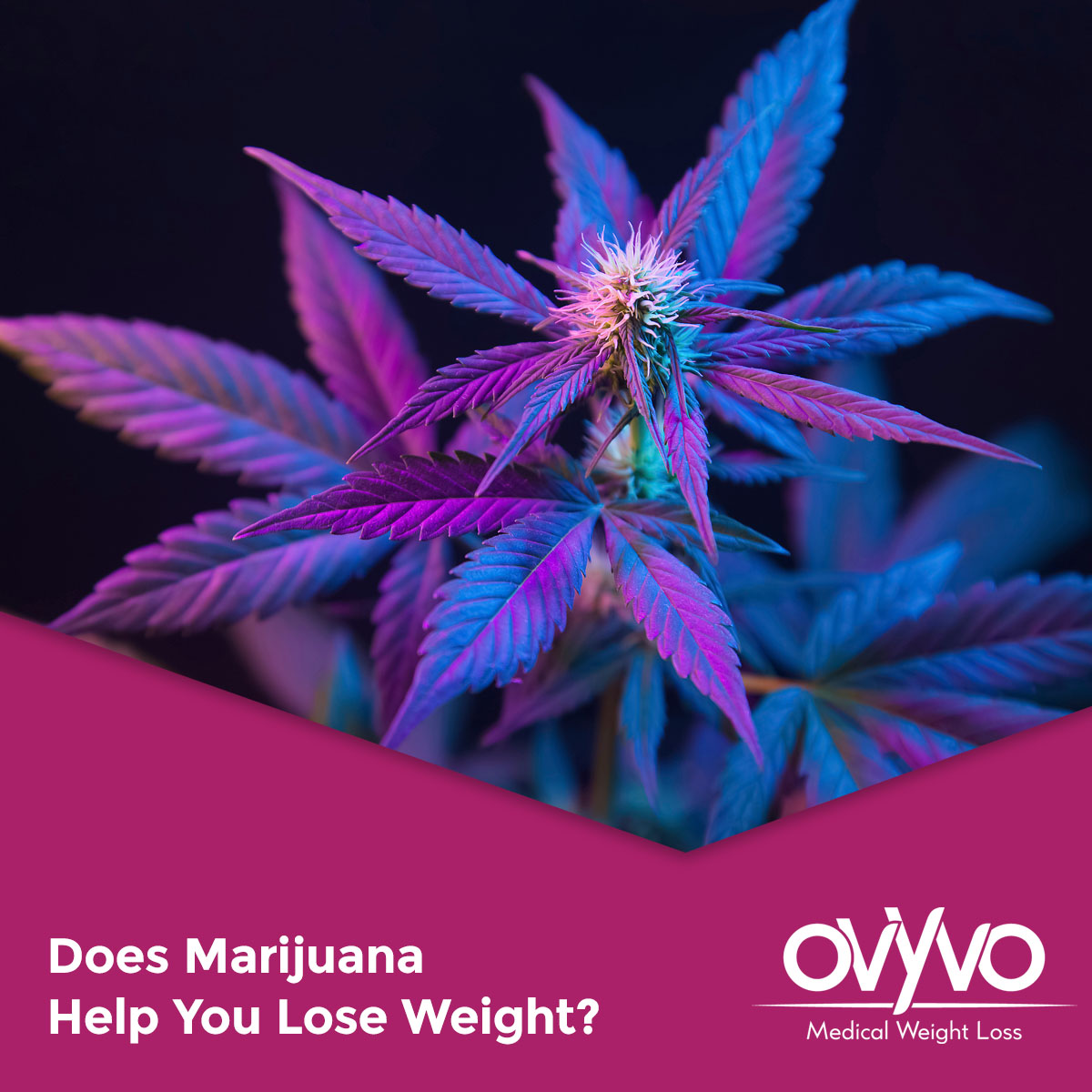 does-marijuana-help-you-lose-weight-ovyvo-medical-weight-loss