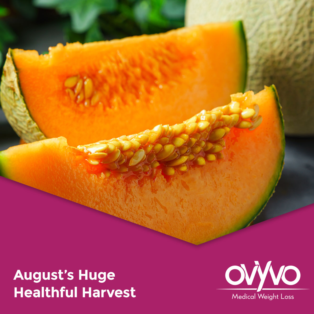 august-healthful-harvest-in-season-pennsylvania-produce-ovyvo