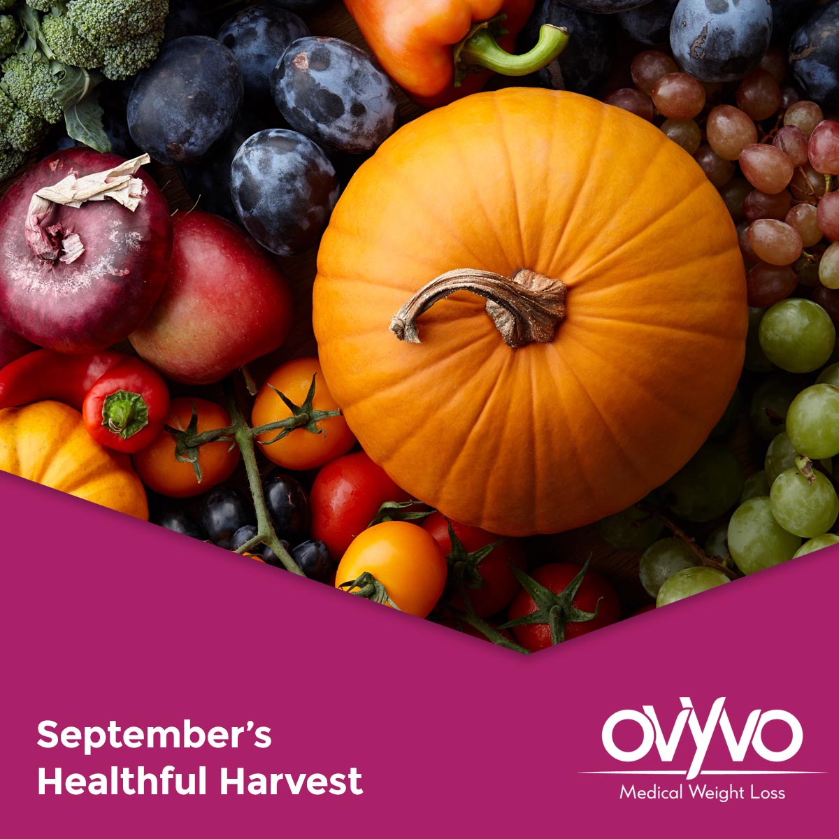 September’s Healthful Harvest