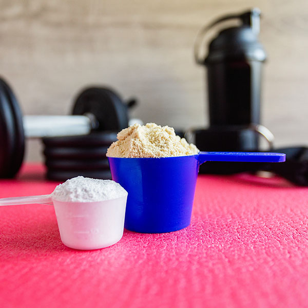 Protein powders for weight loss
